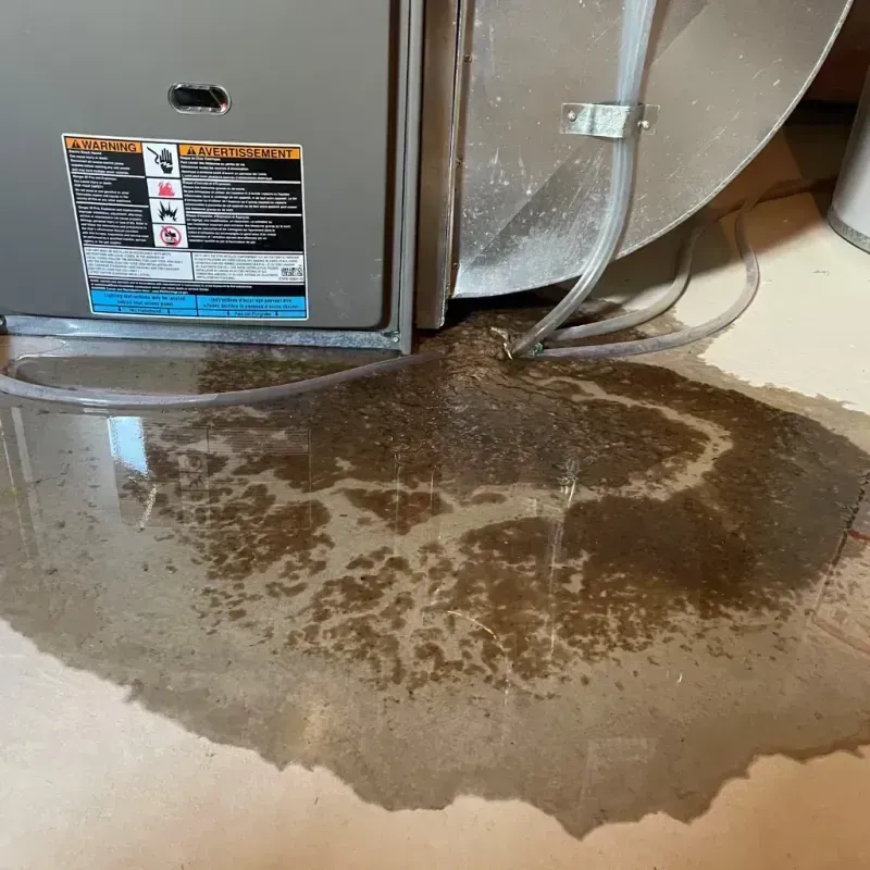 Appliance Leak Cleanup in Chicopee, MA